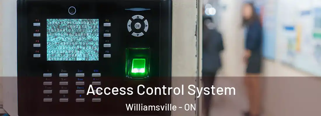  Access Control System Williamsville - ON