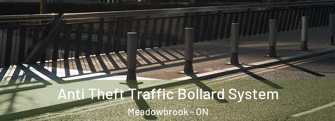  Anti Theft Traffic Bollard System Meadowbrook - ON