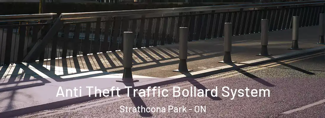  Anti Theft Traffic Bollard System Strathcona Park - ON