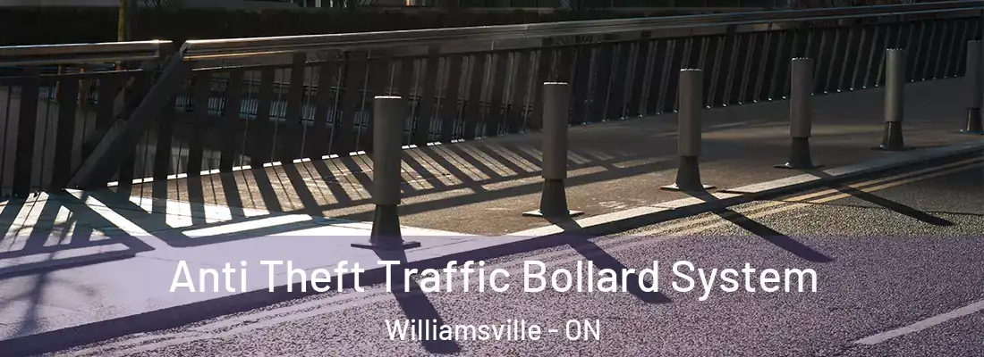  Anti Theft Traffic Bollard System Williamsville - ON