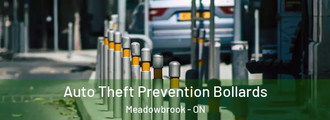  Auto Theft Prevention Bollards Meadowbrook - ON