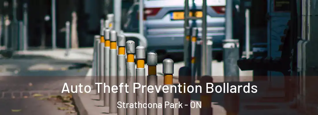  Auto Theft Prevention Bollards Strathcona Park - ON