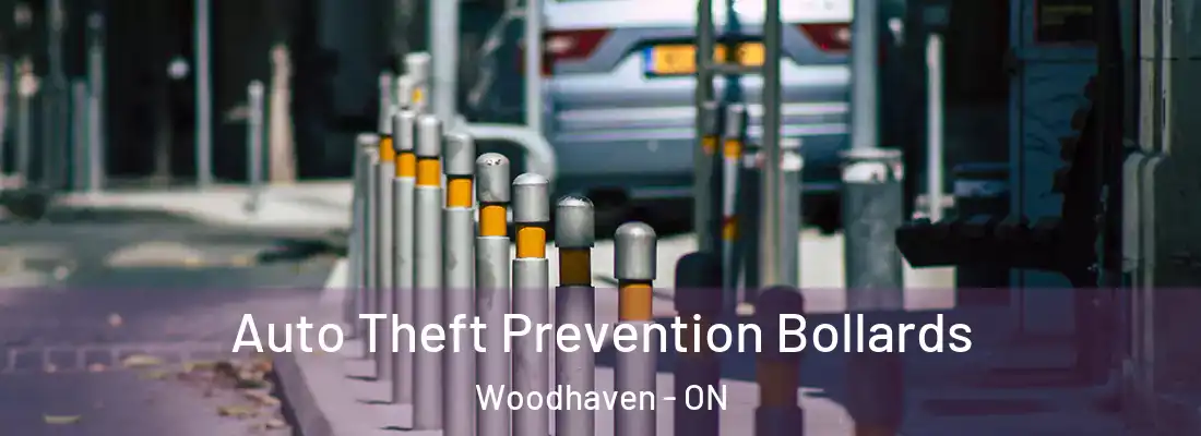  Auto Theft Prevention Bollards Woodhaven - ON