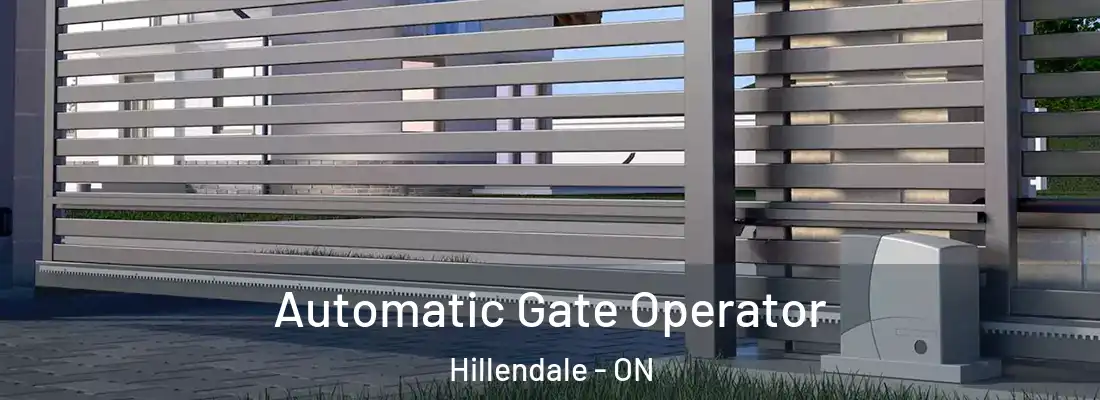  Automatic Gate Operator Hillendale - ON
