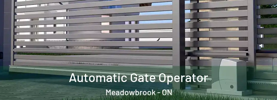  Automatic Gate Operator Meadowbrook - ON