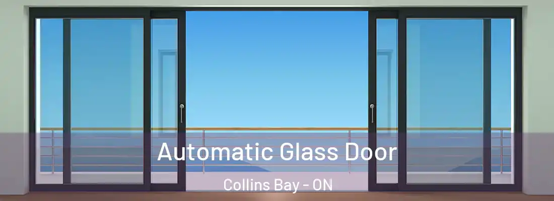  Automatic Glass Door Collins Bay - ON