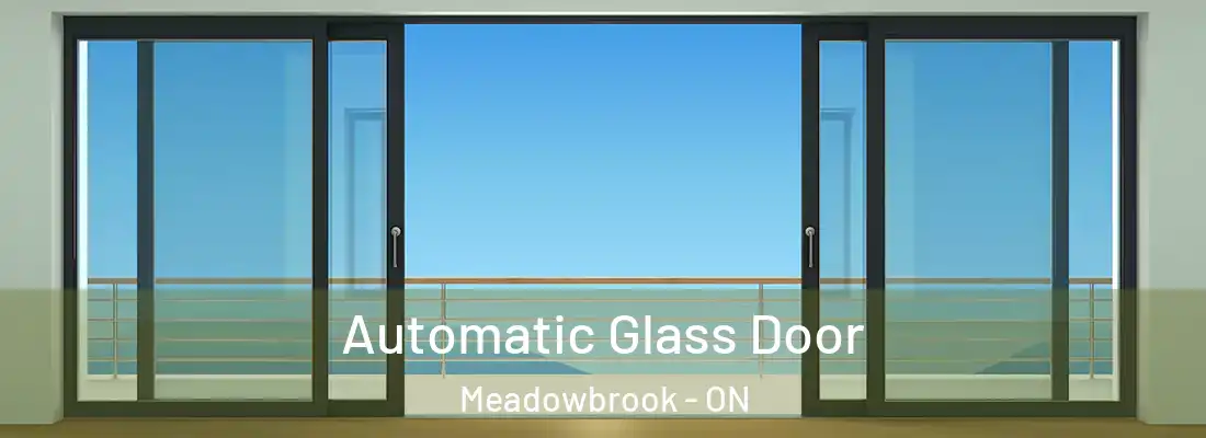  Automatic Glass Door Meadowbrook - ON