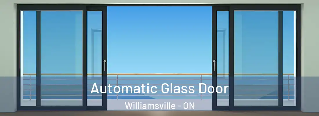 Automatic Glass Door Williamsville - ON