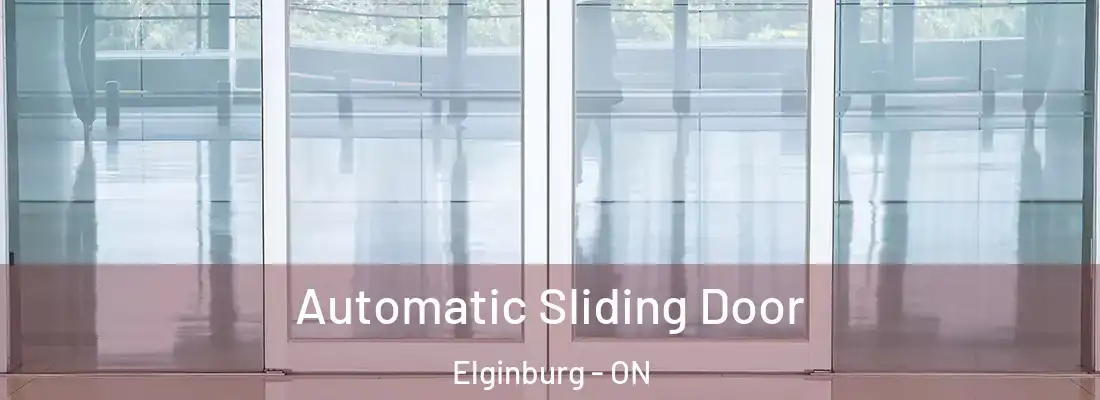  Automatic Sliding Door Elginburg - ON