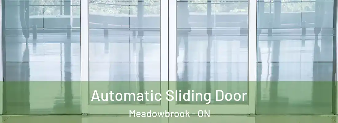  Automatic Sliding Door Meadowbrook - ON
