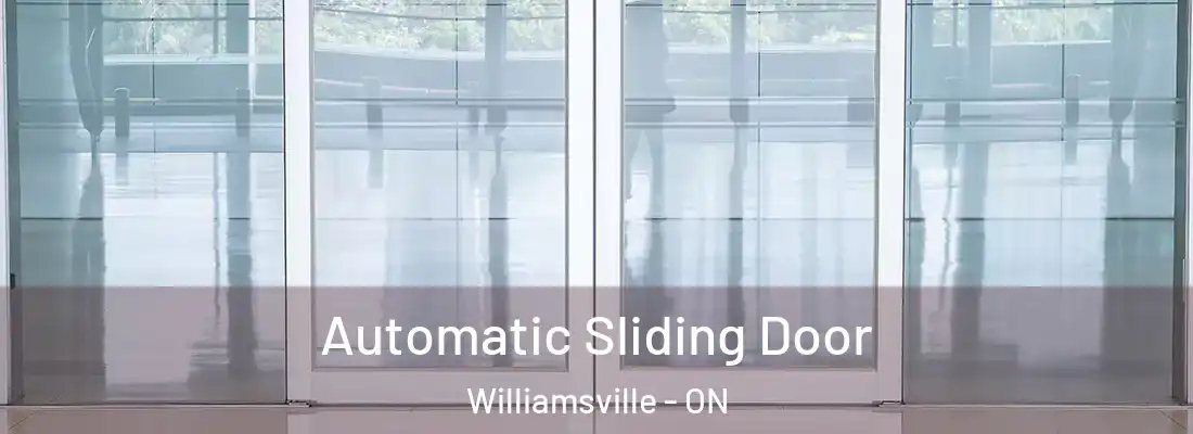  Automatic Sliding Door Williamsville - ON