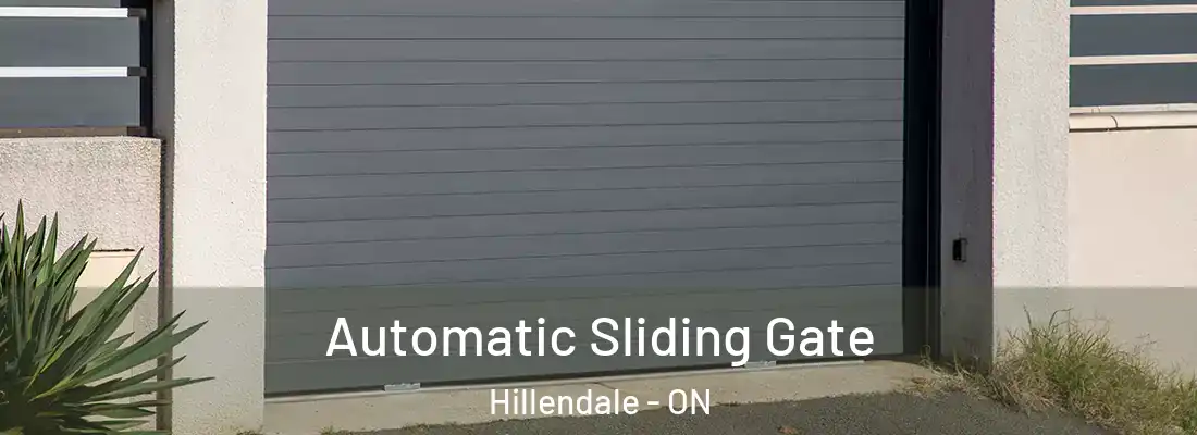  Automatic Sliding Gate Hillendale - ON