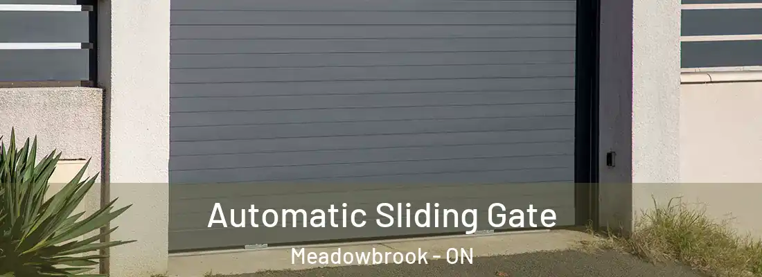  Automatic Sliding Gate Meadowbrook - ON
