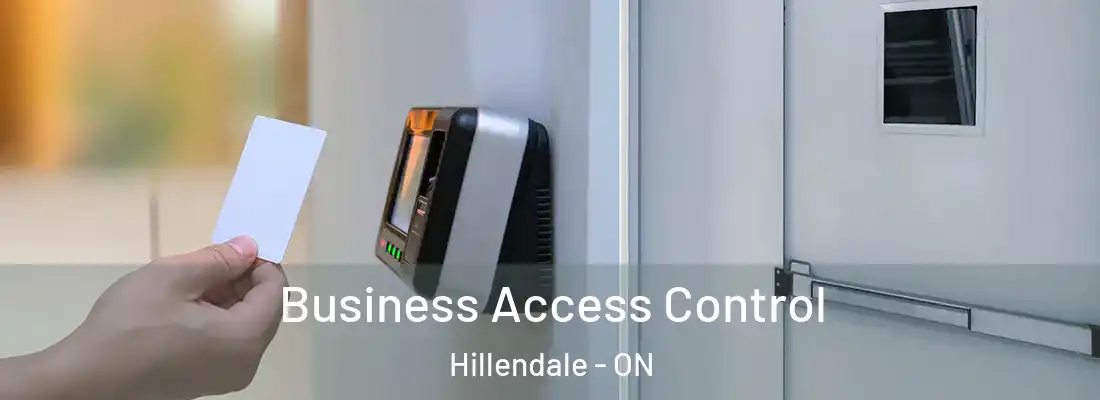  Business Access Control Hillendale - ON