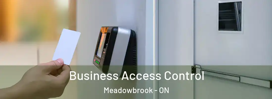  Business Access Control Meadowbrook - ON