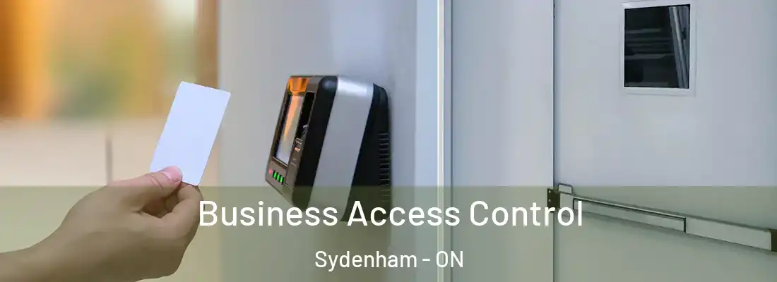  Business Access Control Sydenham - ON