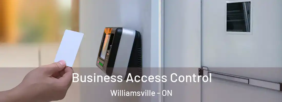  Business Access Control Williamsville - ON