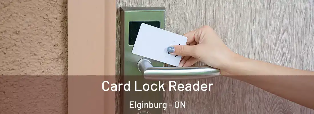  Card Lock Reader Elginburg - ON