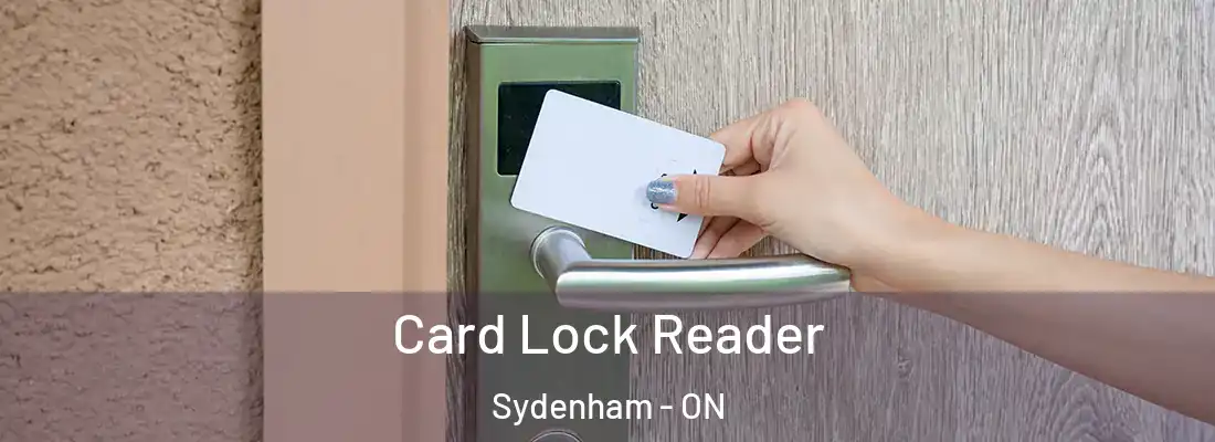  Card Lock Reader Sydenham - ON
