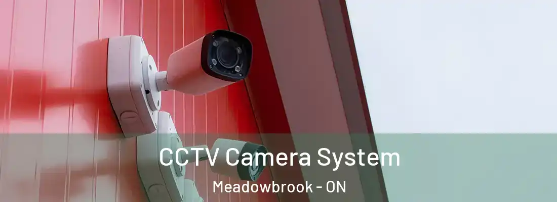  CCTV Camera System Meadowbrook - ON