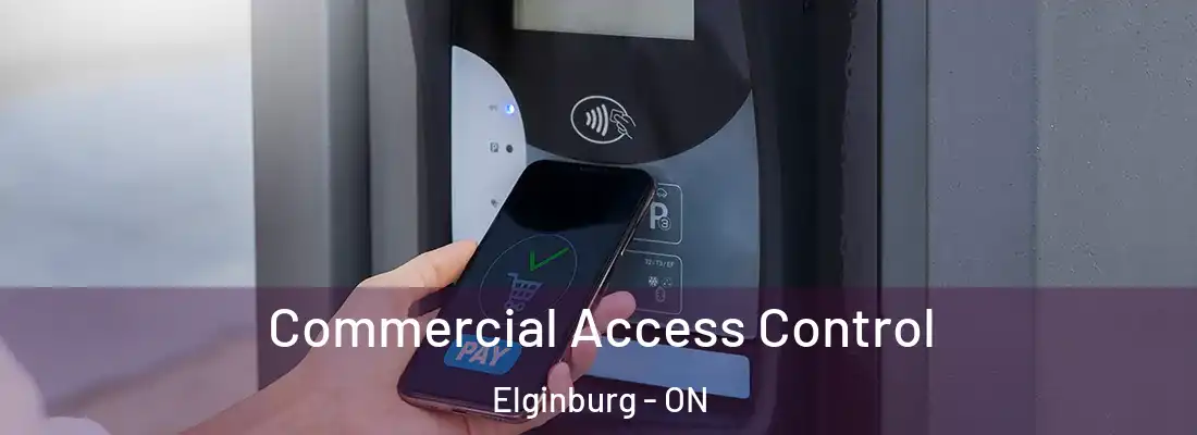  Commercial Access Control Elginburg - ON