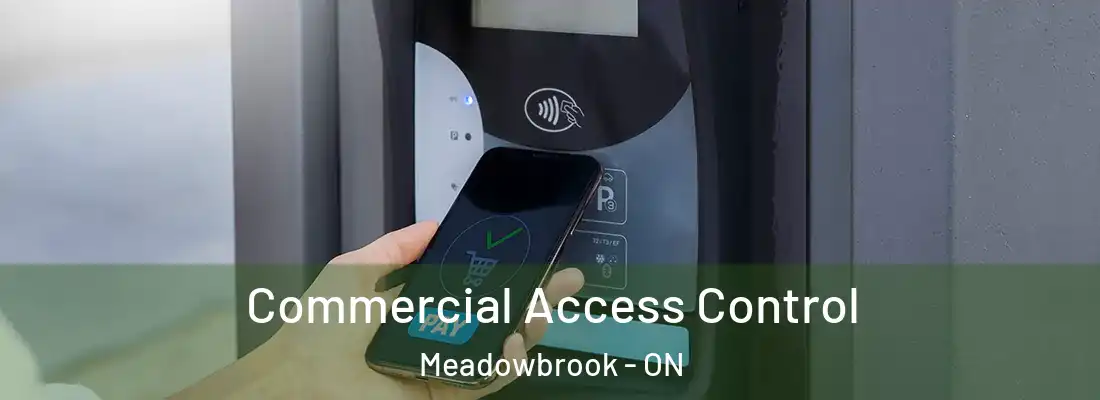  Commercial Access Control Meadowbrook - ON