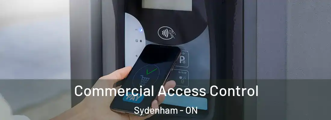  Commercial Access Control Sydenham - ON