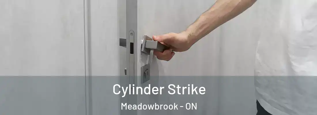  Cylinder Strike Meadowbrook - ON