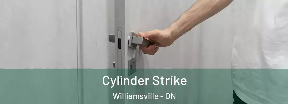  Cylinder Strike Williamsville - ON