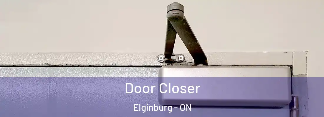  Door Closer Elginburg - ON