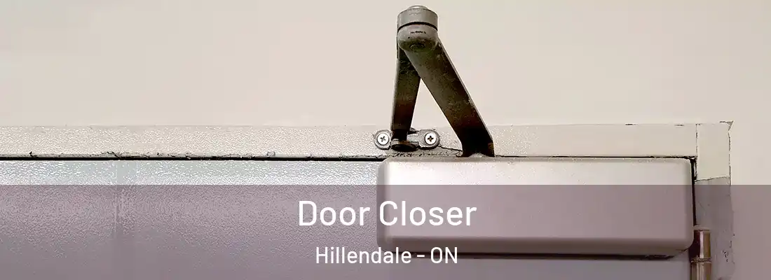  Door Closer Hillendale - ON