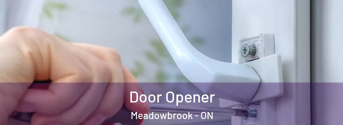  Door Opener Meadowbrook - ON