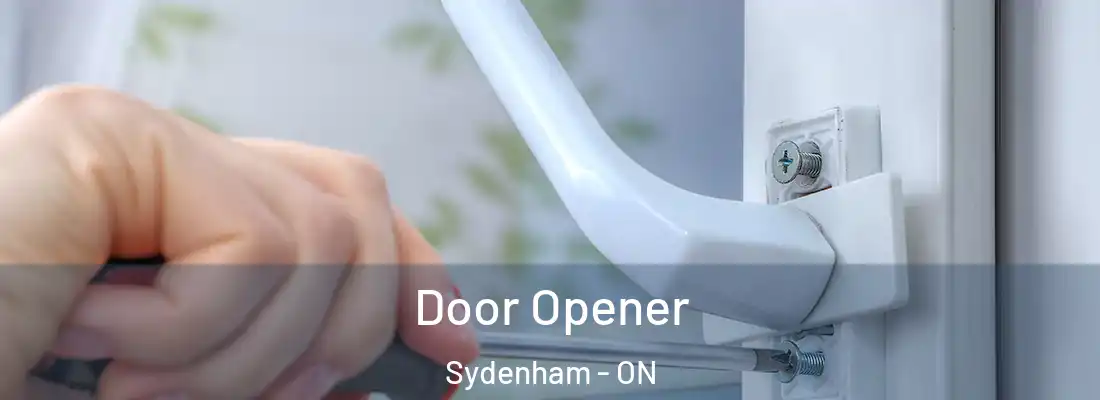  Door Opener Sydenham - ON