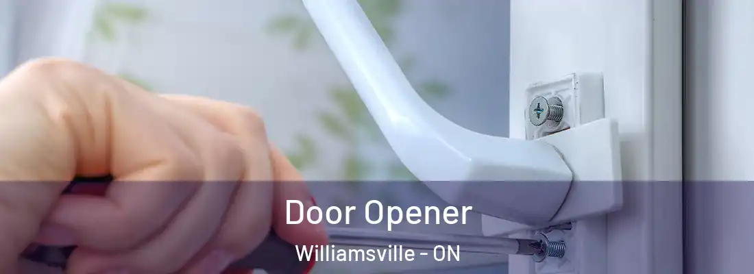  Door Opener Williamsville - ON