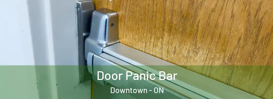  Door Panic Bar Downtown - ON