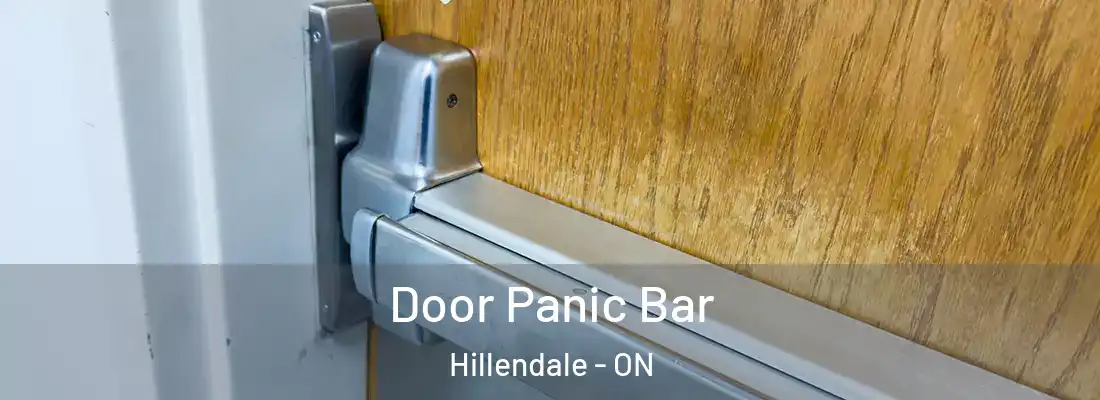  Door Panic Bar Hillendale - ON