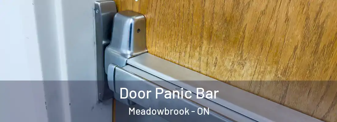  Door Panic Bar Meadowbrook - ON