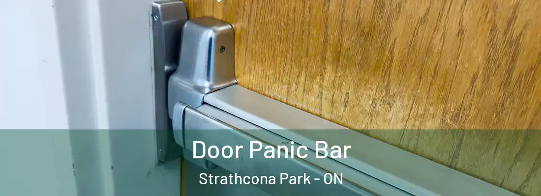  Door Panic Bar Strathcona Park - ON