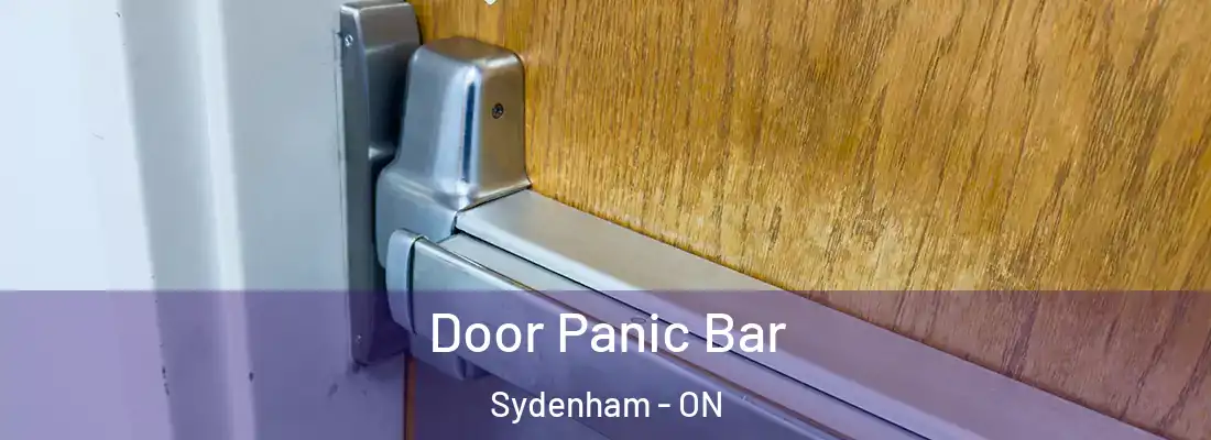  Door Panic Bar Sydenham - ON