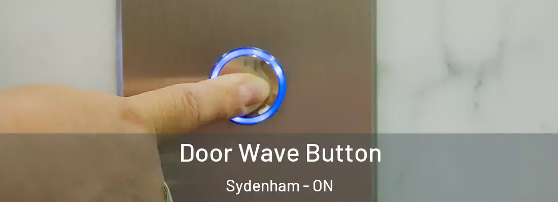  Door Wave Button Sydenham - ON