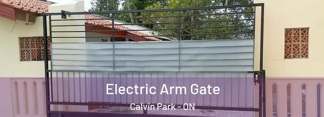  Electric Arm Gate Calvin Park - ON
