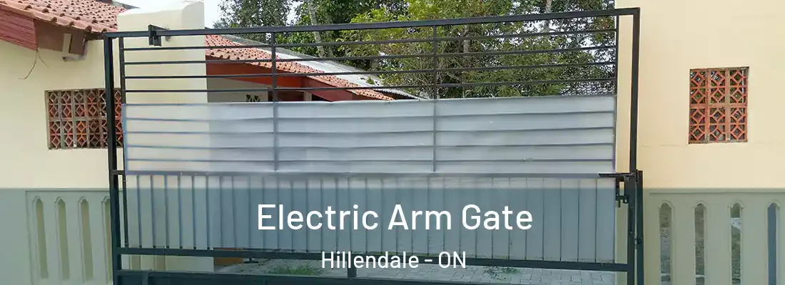  Electric Arm Gate Hillendale - ON