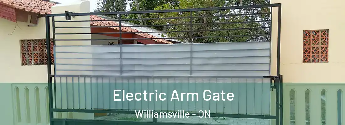  Electric Arm Gate Williamsville - ON