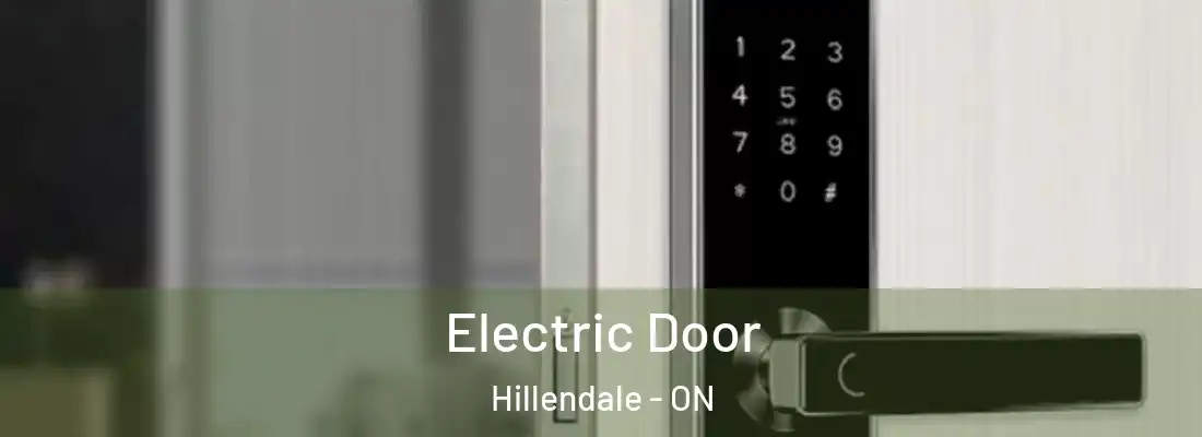  Electric Door Hillendale - ON
