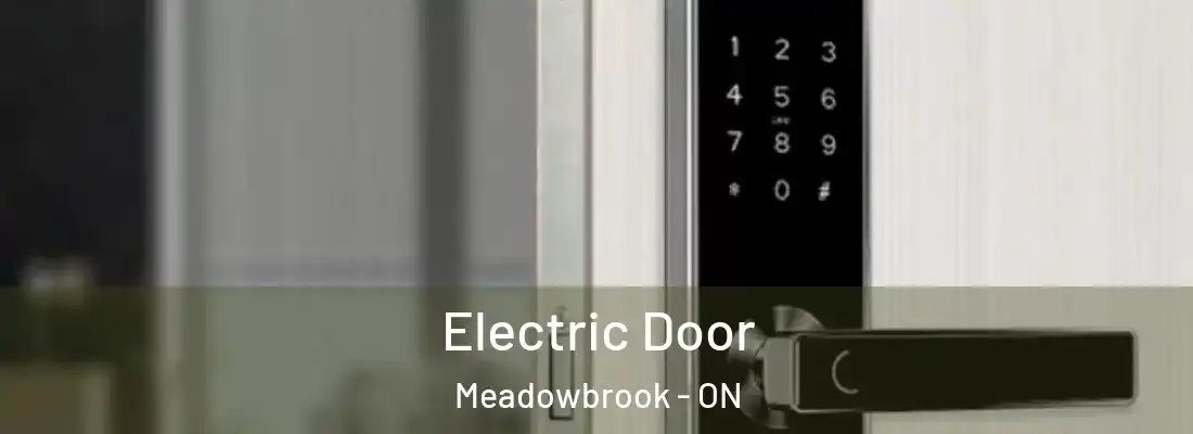  Electric Door Meadowbrook - ON