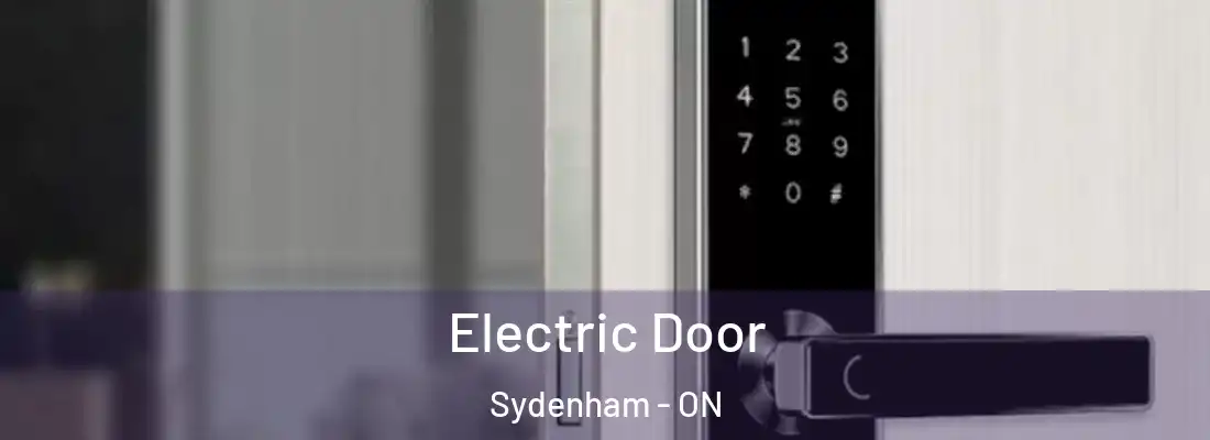  Electric Door Sydenham - ON