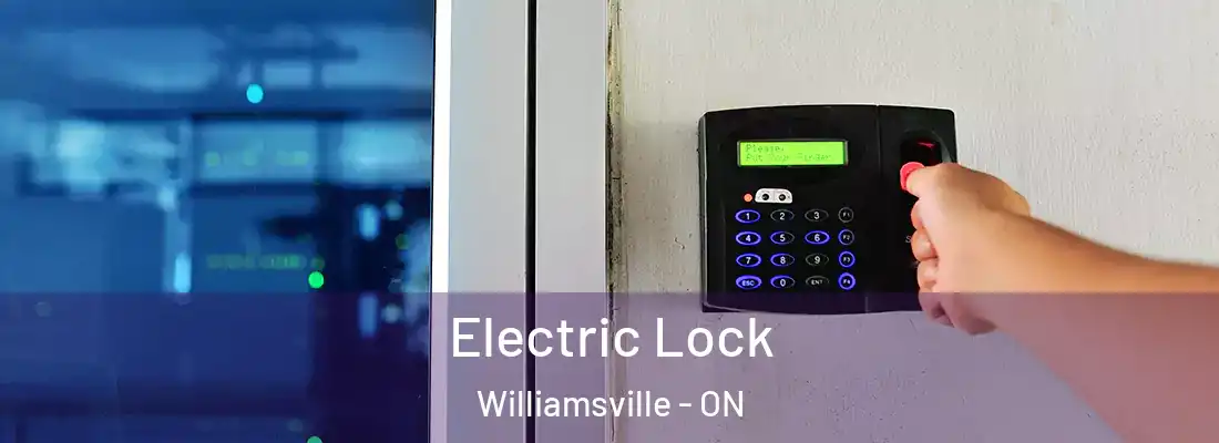  Electric Lock Williamsville - ON