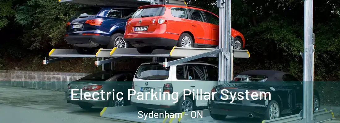  Electric Parking Pillar System Sydenham - ON