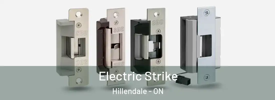  Electric Strike Hillendale - ON