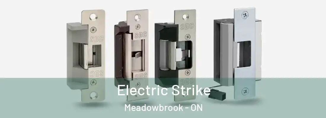  Electric Strike Meadowbrook - ON